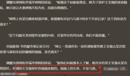 宋喆前妻爆料最新视频