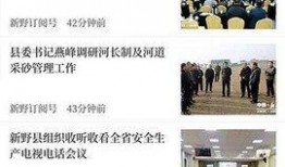 新野新闻爆料,揭秘当地热点事件背后的真相